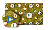 Beholder