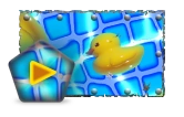Ducks