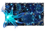 Neuron