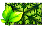 Tropical Foliage